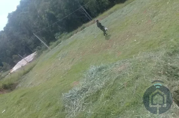 Terreno em condomínio  para venda,  Recanto Das Flores, Mairinque