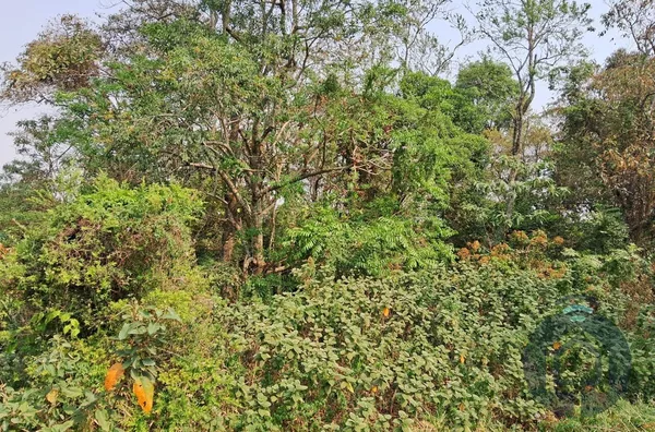 Terreno para venda,  Planalto Verde, São Roque