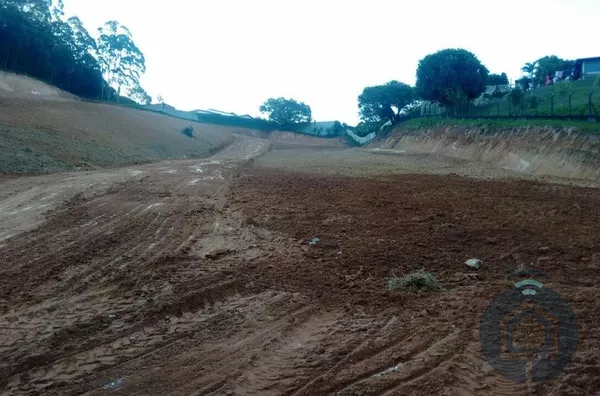 Visão e Potencial: Terreno de 20.000 m² para Desenvolvimento Residencial