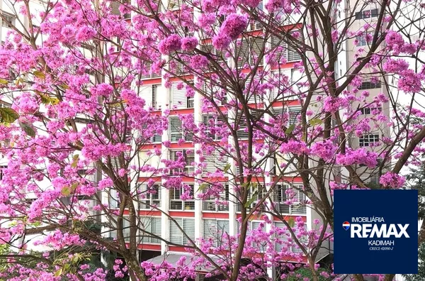 Apartamento para venda, 3 quarto(s), Higienópolis, São Paulo - Foto 9