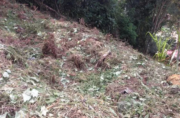 TERRENO  para venda Vivendas do Imperador Domingos Martins
