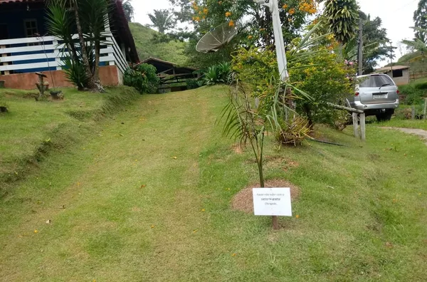 SITIO  para venda Ribeirão do Cristo Marechal Floriano