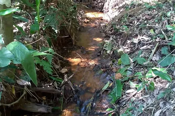 SITIO  para venda Victor Hugo Domingos Martins