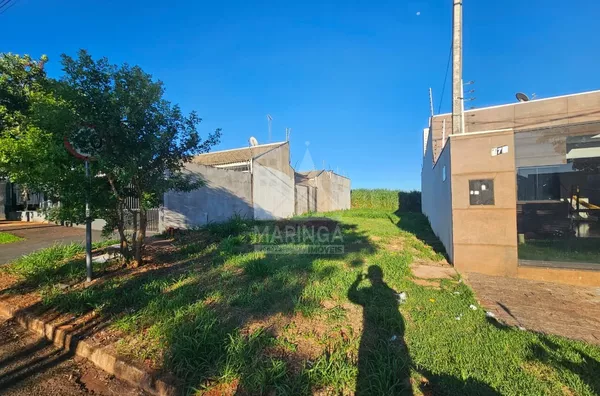 Terreno 200² plano pronto para construir a venda, Jardim Arezzo, Maringá PR 