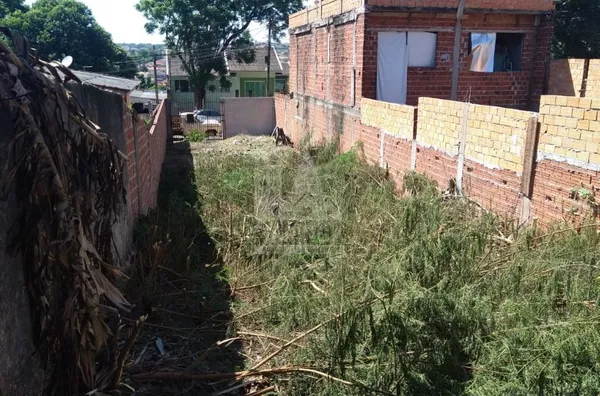 Terreno venda Maringá, Jardim Alvorada, 243 metros, estuda permuta, pronto para construir