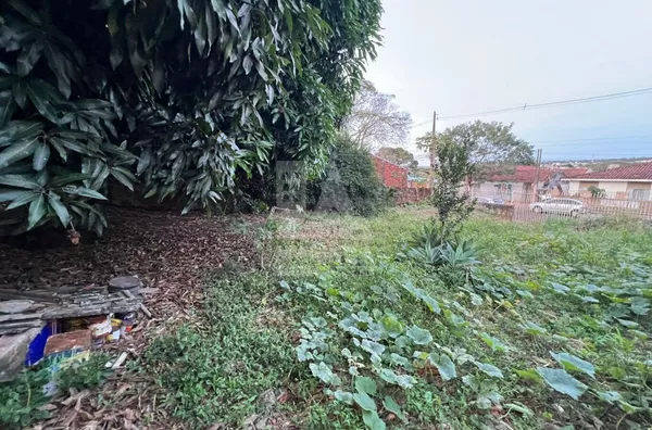 Terreno inteiro para venda, 487,50m², Jardim Alvorada, Maringá