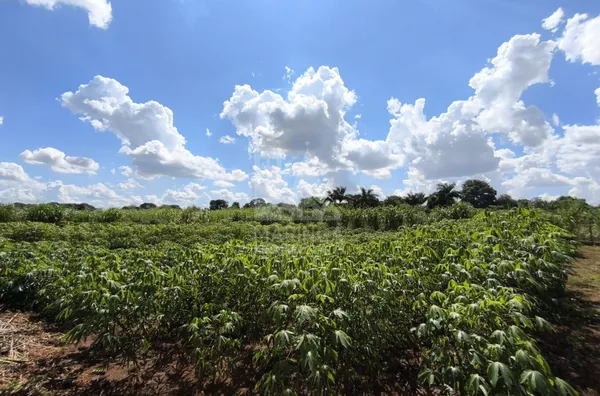 Chácara para venda, 5.000m², na Vila Rural em Mandaguaçu
