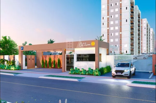 Lançamento Cittrino