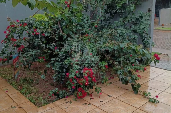 PORTEIRA FECHADA - Chácara a venda Porto Maringá PR com 2 quartos - Foto 17