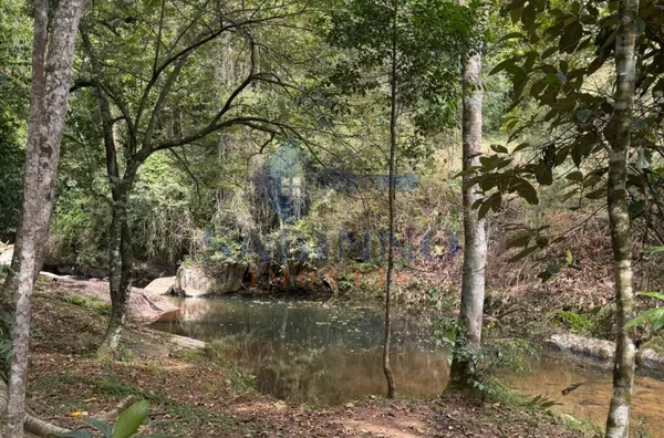 Terreno para venda, São Roque, Gravatal - Foto 4