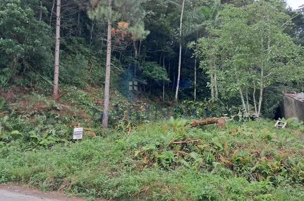 Terreno para venda,  Potecas, São José - Foto 3