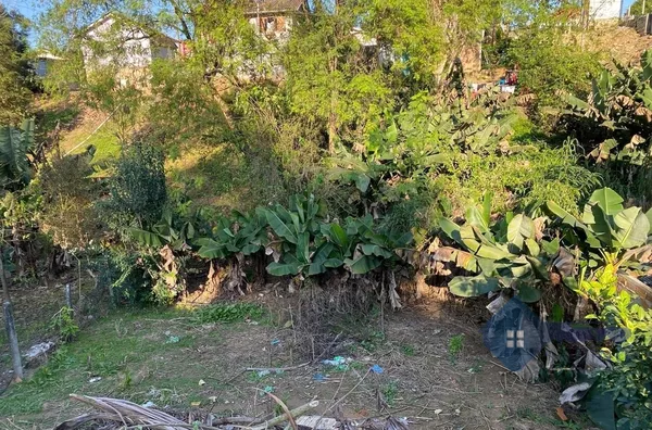 Terreno para venda ,  Sao Mateus, Braço Do Norte