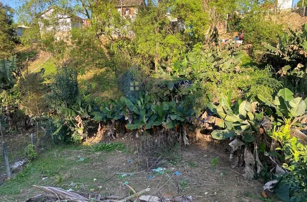 Terreno para venda ,  Sao Mateus, Braço Do Norte - Foto 1