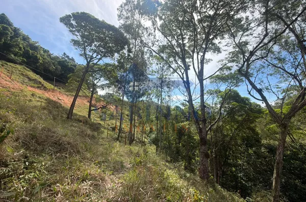 Terreno para venda, São Roque, Gravatal - Foto 11