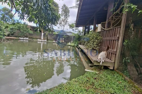 Chácara para venda - Santo Amaro da Imperatriz - Foto 9
