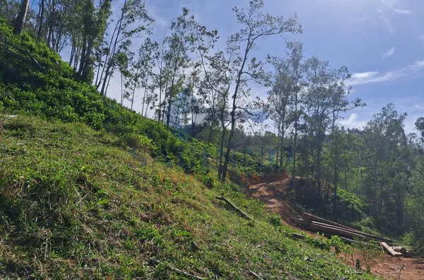Terreno para venda, São Roque, Gravatal - Foto 14