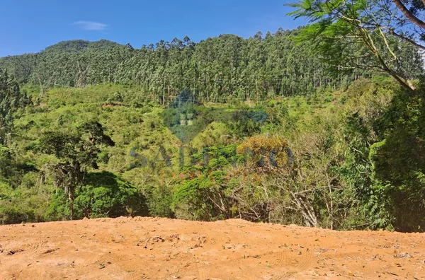 Terreno para venda, São Roque, Gravatal - Foto 8