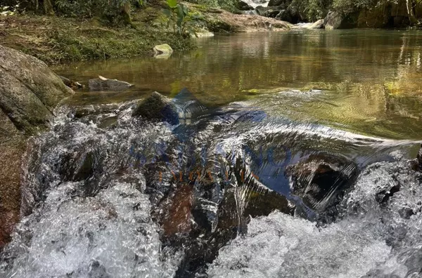 Terreno para venda, São Roque, Gravatal - Foto 27