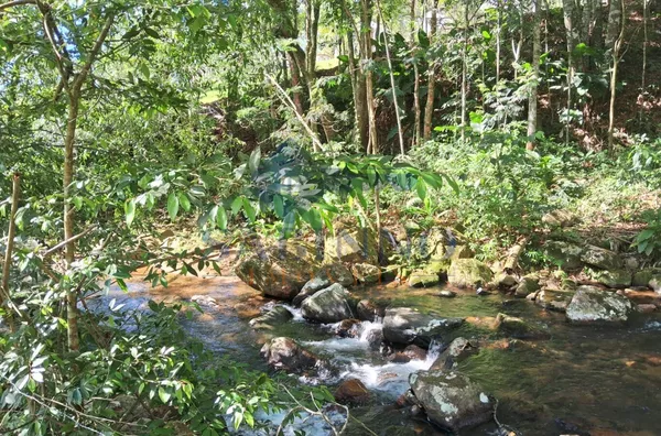 Terreno para venda, São Roque, Gravatal - Foto 20