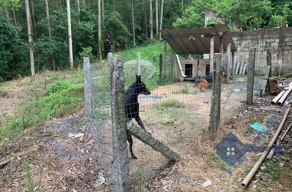 Casa para venda, 2 quarto(s),  Avistoso, Braço Do Norte