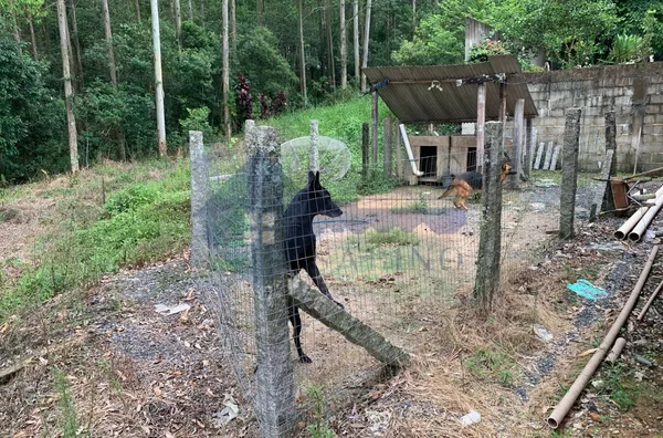 Casa para venda, 2 quarto(s),  Avistoso, Braço Do Norte - Foto 5