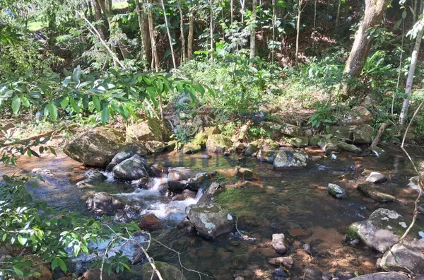 Terreno para venda, São Roque, Gravatal - Foto 13