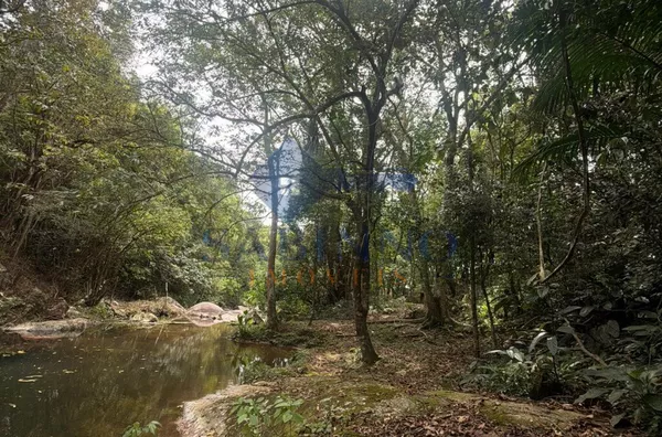 Terreno para venda, São Roque, Gravatal - Foto 17