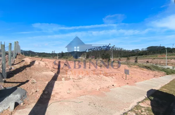 LOTE PARA VENDA AVISTOSO, BRAÇO DO NORTE! - Foto 3