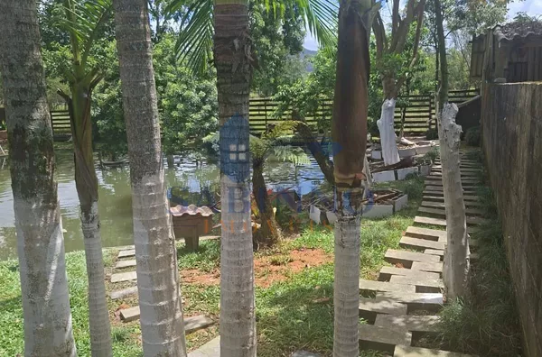 Chácara para venda - Santo Amaro da Imperatriz - Foto 7