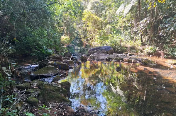 Terreno para venda, São Roque, Gravatal - Foto 28