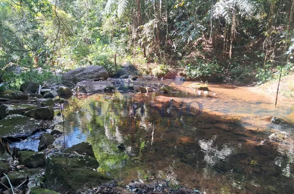 Terreno para venda, São Roque, Gravatal - Foto 6