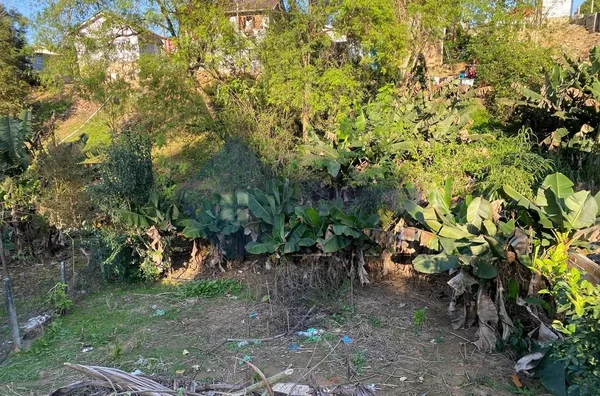 Terreno para venda,  São Matheus, Braço Do Norte - Foto 6
