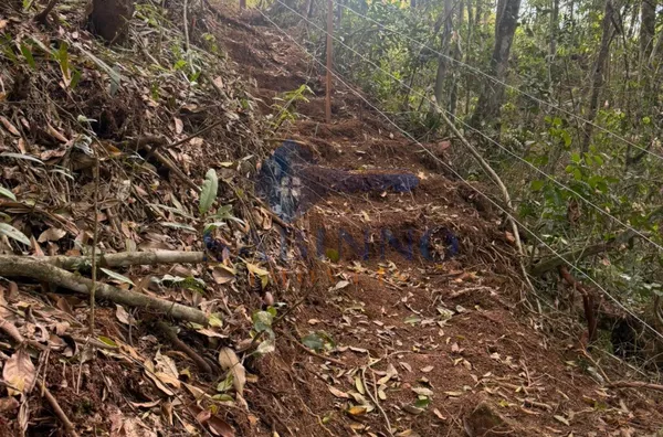 Terreno para venda, São Roque, Gravatal - Foto 19
