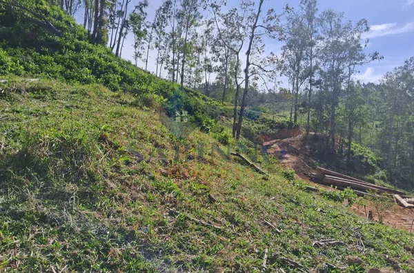 Terreno para venda, São Roque, Gravatal - Foto 25