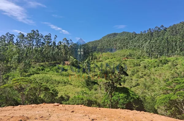 Terreno para venda, São Roque, Gravatal - Foto 9