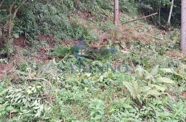 Terreno para venda,  Potecas, São José - Foto 6