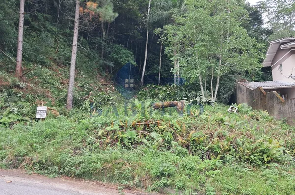 Terreno para venda,  Potecas, São José - Foto 4