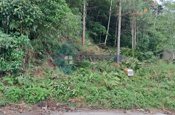 Terreno para venda,  Potecas, São José