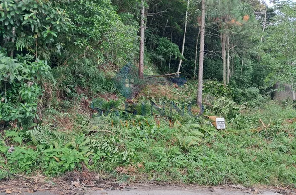 Terreno para venda,  Potecas, São José - Foto 1