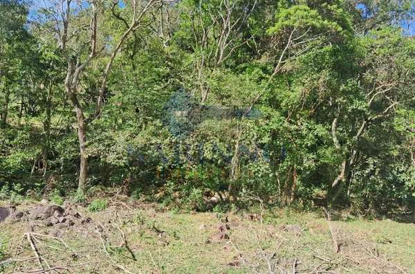 Terreno para venda, São Roque, Gravatal - Foto 7