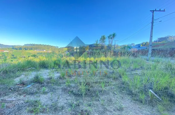 Terreno para venda,  Laranjeiras, São Ludgero - Foto 3