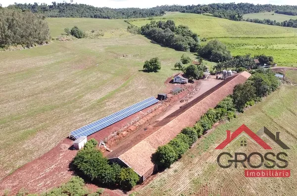 Área total de 57.000 m² (5,7 hectares), ideal para produção e moradia com estrutura pronta para atividade agrícola e avicultura.