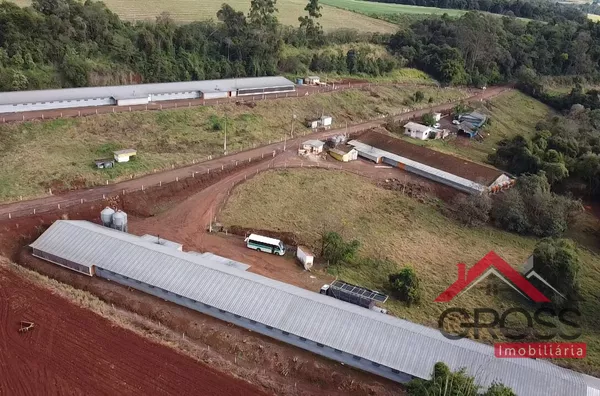 3 Alqueires contendo 3 Aviários, Capanema