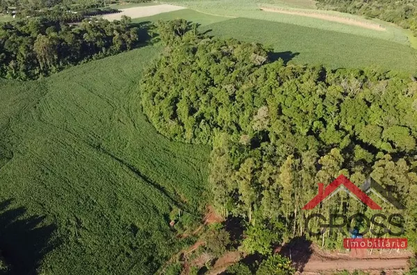 Sitio com 5 alqueires mecanizados - Capanema