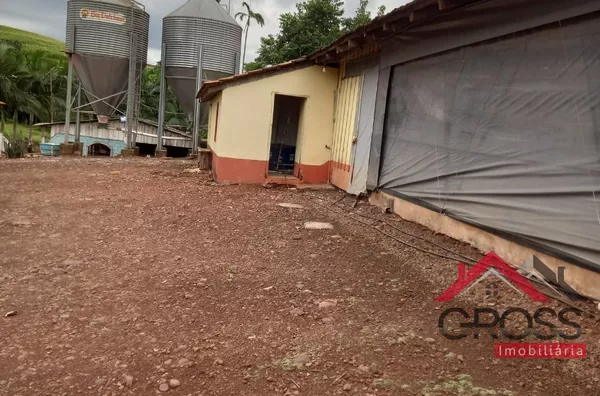 Sítio localizado na Flor da Serra em Capanema Paraná medindo 52.000m²- Contendo um aviário e uma casa em alvenaria- energia solar