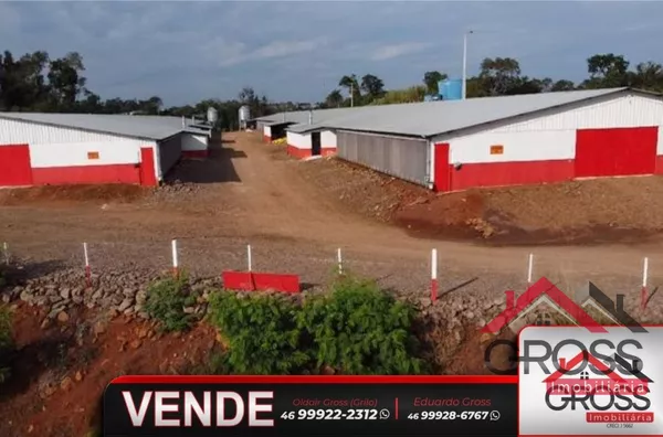 Área rural com grande potencial de renda, contando com área agrícola e avícola. Barracão e residência em alvenaria. Próximo a cidade de Capanema Pr. 