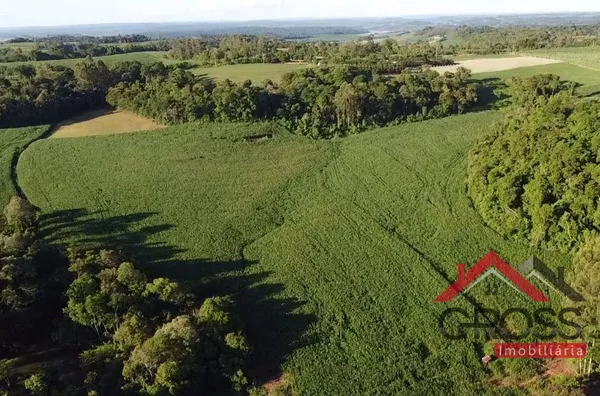 Sitio com 5 alqueires mecanizados - Capanema