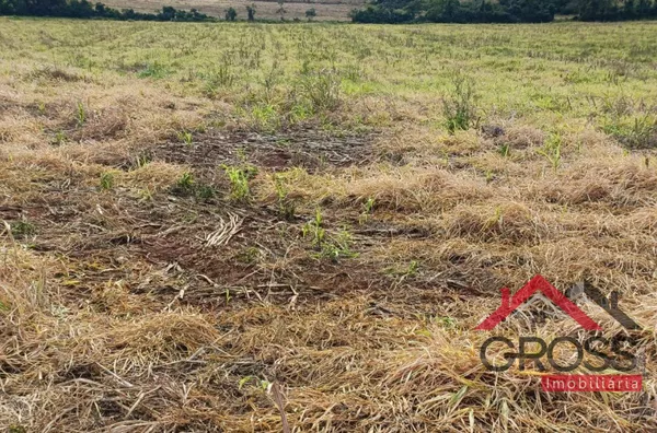 Sítio para venda,  - Selecione - Bairro, Capanema
