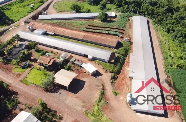 6,7 Alqueires - 3 Aviarios - 3 Casas