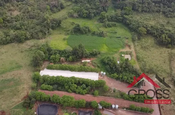 Chácara a venda medindo 59.000m² - porteira fechada, contendo 2 casas em alvenaria, 2 granjas suínas, 17 vacas, placa solar, plantadeira, trator, pulverizador, entre outros equipamentos. Localizada em Santa Terezinha, área rural de Capanema Pr. 